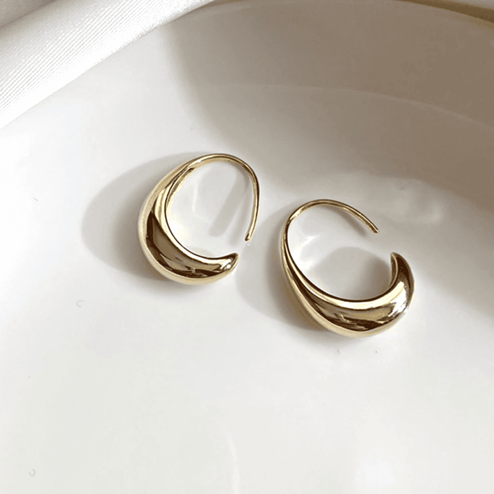 Gold and Silver Oval Hoop Earrings